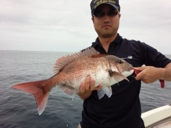 MATSUSHIMA SEANET 釣果