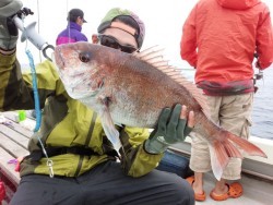 MATSUSHIMA SEANET 釣果