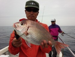 MATSUSHIMA SEANET 釣果