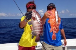 芳美丸 釣果