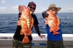 芳美丸 釣果