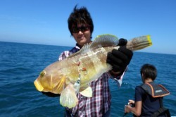 芳美丸 釣果