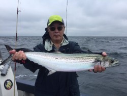 ゲームフィッシング バレントン 釣果