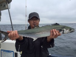 ゲームフィッシング バレントン 釣果