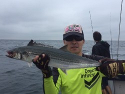 ゲームフィッシング バレントン 釣果