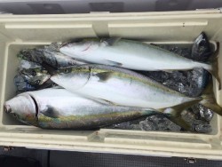 ゲームフィッシング バレントン 釣果