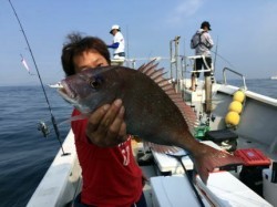 祐英丸 釣果