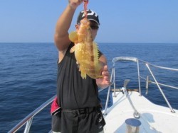 ジギング船 BLUEWATER 釣果