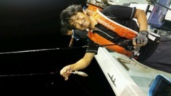 ディープ オーシャン 釣果