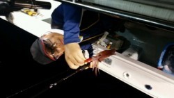 ディープ オーシャン 釣果