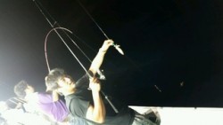 ディープ オーシャン 釣果