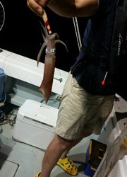 ディープ オーシャン 釣果