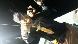 ディープ オーシャン 釣果