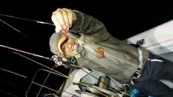 ディープ オーシャン 釣果