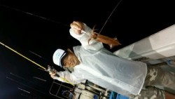 ディープ オーシャン 釣果