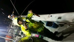 ディープ オーシャン 釣果