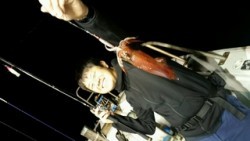 ディープ オーシャン 釣果