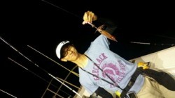 ディープ オーシャン 釣果