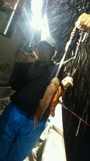 ディープ オーシャン 釣果