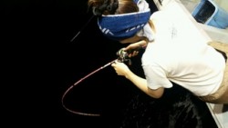 ディープ オーシャン 釣果