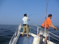 ＢＩＧ－ＯＮＥ 釣果