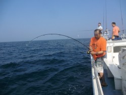 ＢＩＧ－ＯＮＥ 釣果