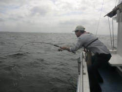 ＢＩＧ－ＯＮＥ 釣果