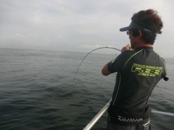 ＢＩＧ－ＯＮＥ 釣果