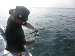 ＢＩＧ－ＯＮＥ 釣果