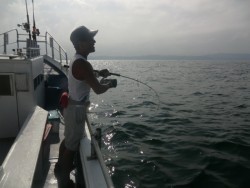 ＢＩＧ－ＯＮＥ 釣果