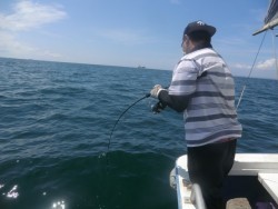 ＢＩＧ－ＯＮＥ 釣果