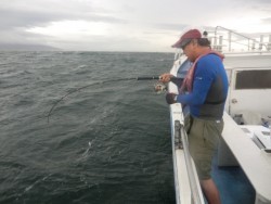 ＢＩＧ－ＯＮＥ 釣果