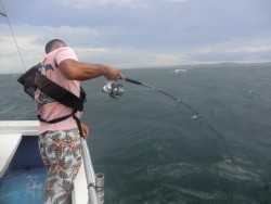 ＢＩＧ－ＯＮＥ 釣果