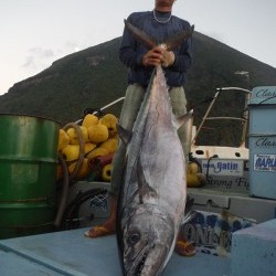 オーシャンパイオニア 釣果