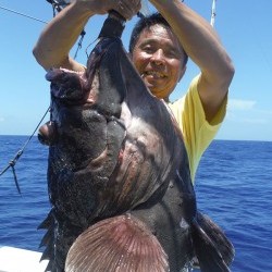 オーシャンパイオニア 釣果