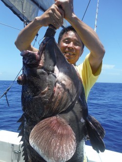 オーシャンパイオニア 釣果