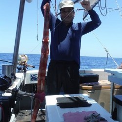 オーシャンパイオニア 釣果