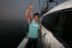 オーシャンズ 釣果