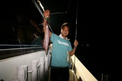 オーシャンズ 釣果