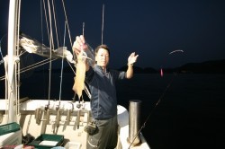 オーシャンズ 釣果