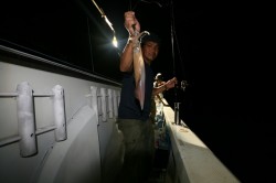 オーシャンズ 釣果