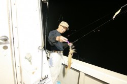 オーシャンズ 釣果