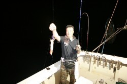 オーシャンズ 釣果