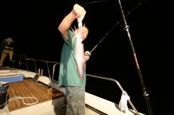 オーシャンズ 釣果