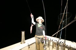 オーシャンズ 釣果