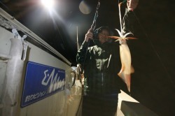 オーシャンズ 釣果