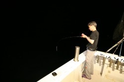 オーシャンズ 釣果