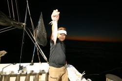 オーシャンズ 釣果