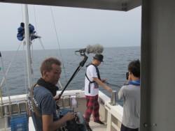 ジギング船 BLUEWATER 釣果