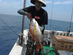 なぎさ丸 釣果